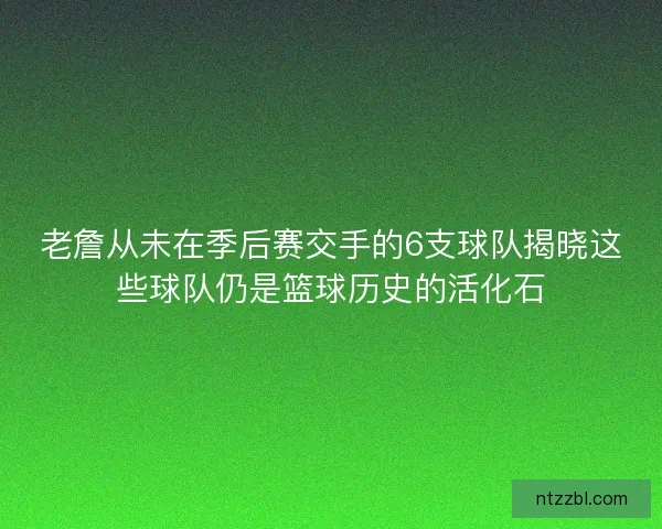 老詹从未在季后赛交手的6支球队揭晓这些球队仍是篮球历史的活化石
